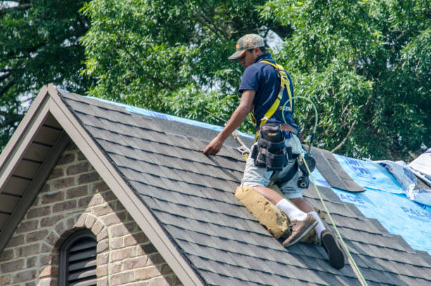 Best Gutter Installation and Roofing  in Ludlow, KY